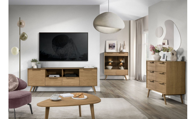 Tumba RTV LEO 25